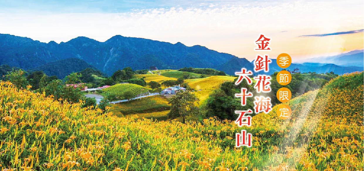 季節限定～金針花海