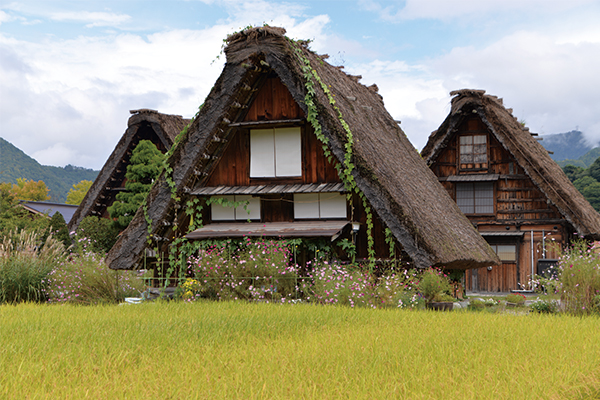 白川鄉合掌村