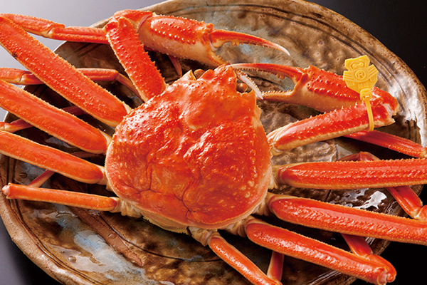 越前蟹