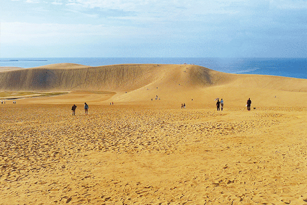 鳥取沙丘