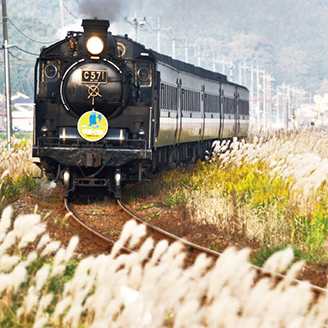 日本山口｜貴婦人號列車之旅