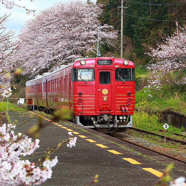 享趣四國 道後溫泉 伊予灘鐵道五日