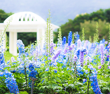 國內旅遊 行程客製化