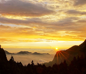 歡迎電洽 02-25074688